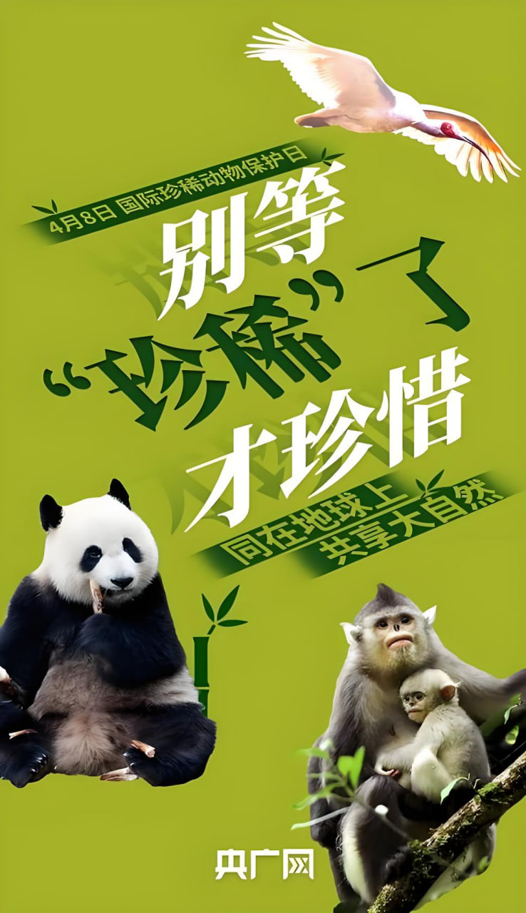 电影资讯